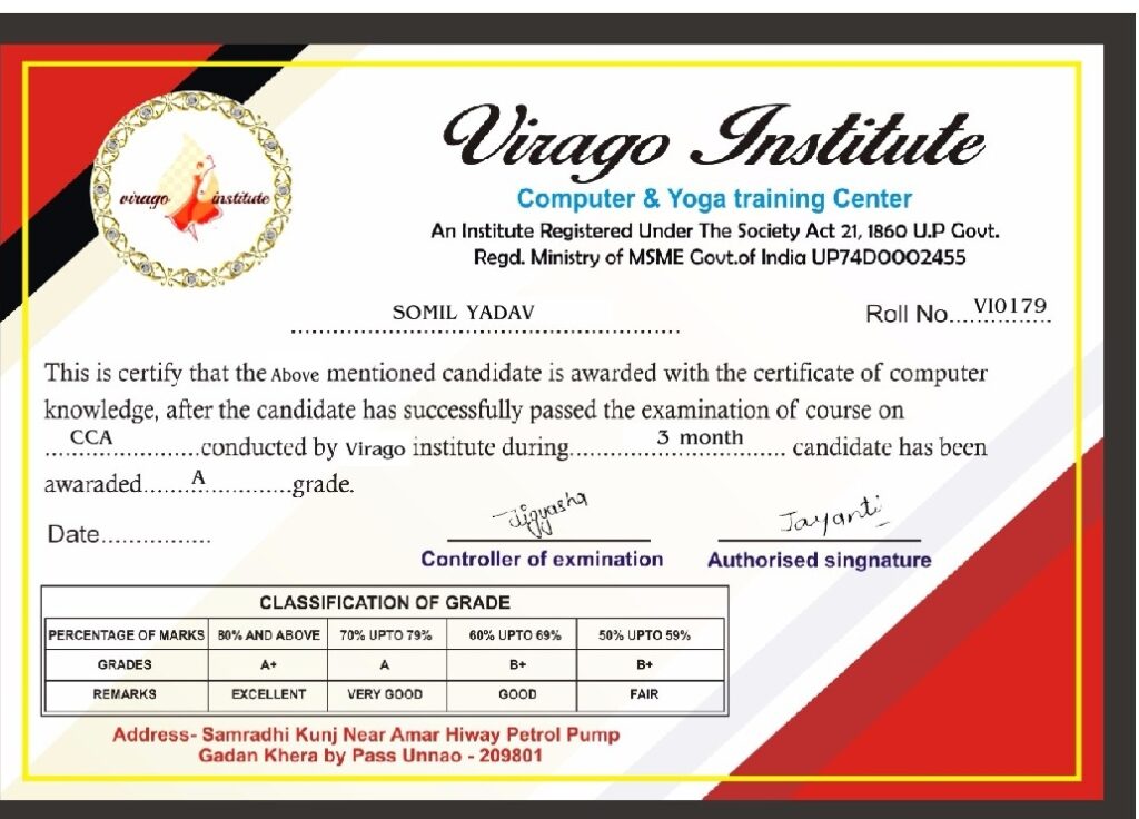 Tally Cetificate Virago Institute Unnao